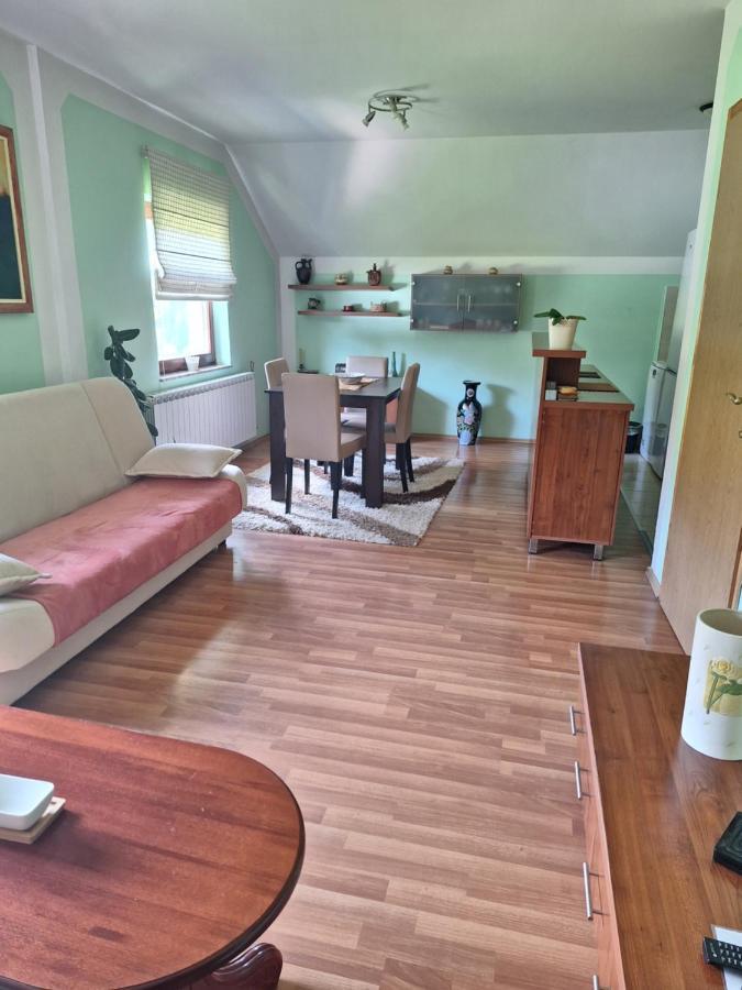 Apartman Sara Pale - Ski centar Ravna planina Exterior foto